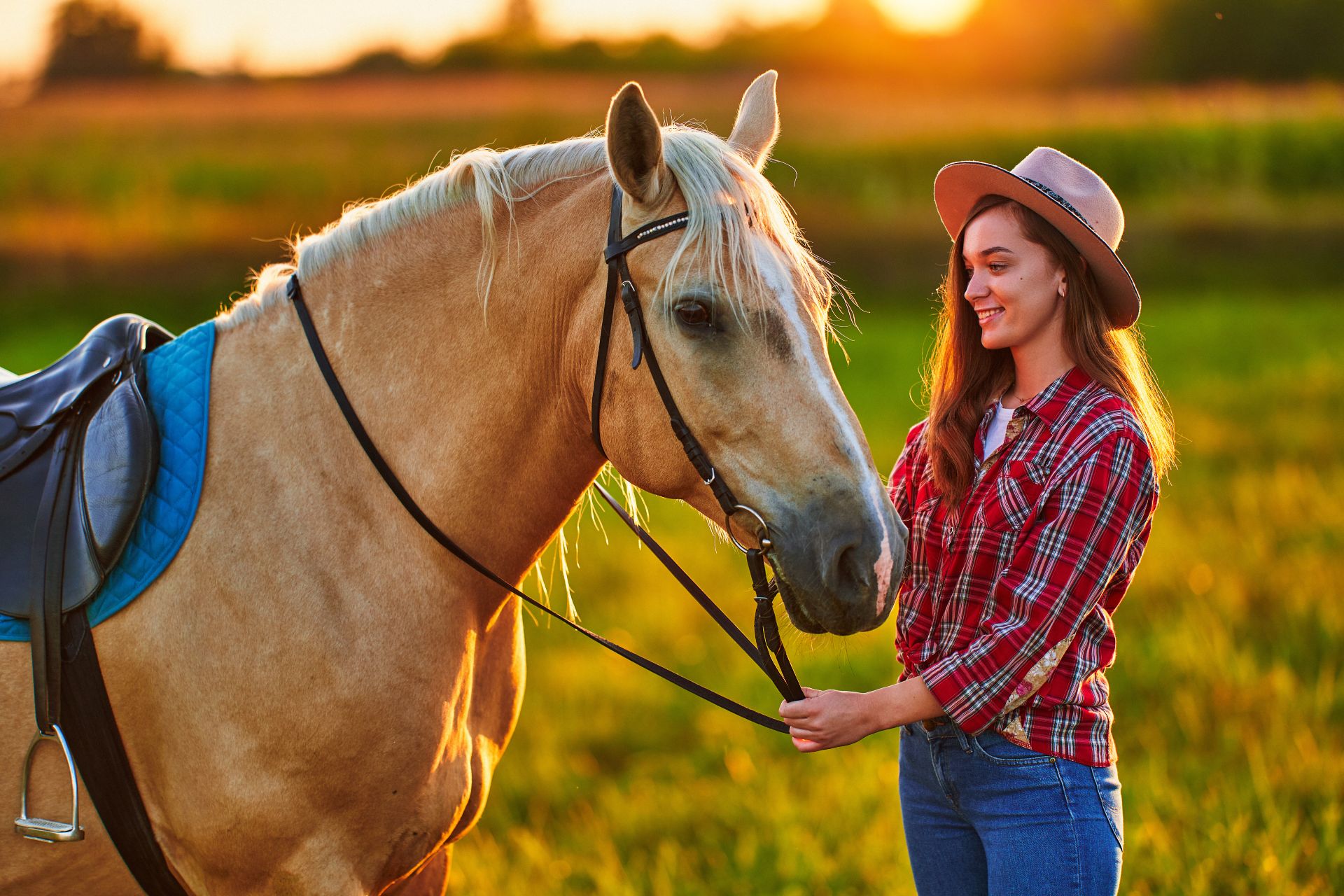 Junge Frau im karierten Hemd steht mit einem Palomino-Pferd auf der Weide bei Sonnenuntergang – freundlicher Moment im Stallalltag